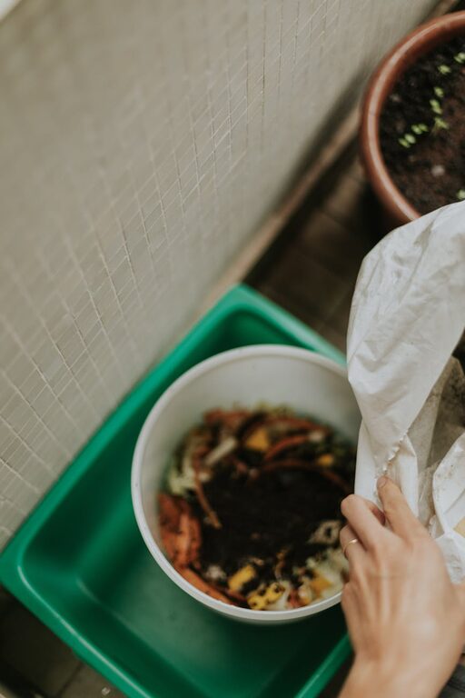 Beginner Tips for Composting at Home: Easy Steps to Get Started